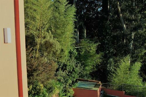 Bed & Breakfast Estalagem Quinta Do Louredo
