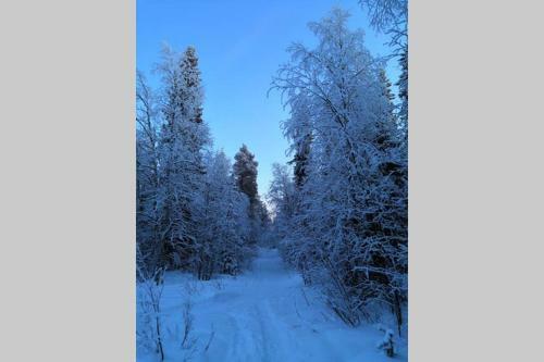 Villa Bluemoment Ivalo