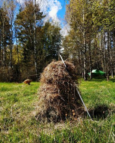 Naawa Nature Camp