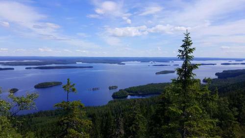Lomakyl� Timitraniemi