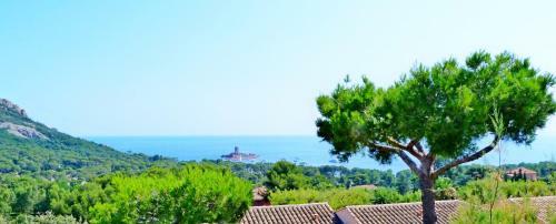 Apartamento 2m N3 011 Rdj - 221la