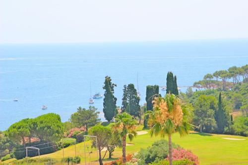 Apartamento 1m C8 245 - 371la