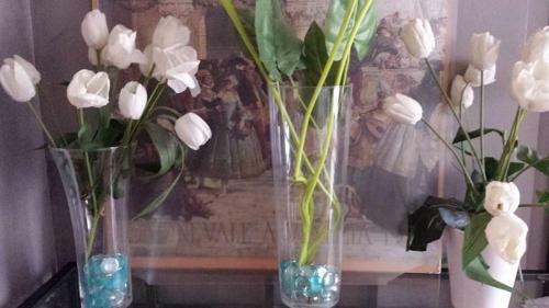 Apartamento Appartement Familial Dans Le Triangle Dor Ajaccio