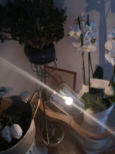 Apartamento Appartement Familial Dans Le Triangle Dor Ajaccio