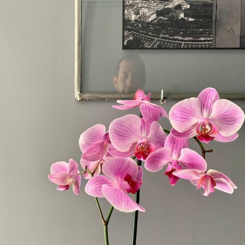 Bed & Breakfast Maison Clairbois
