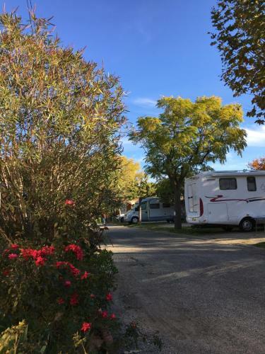 Amelia Camping
