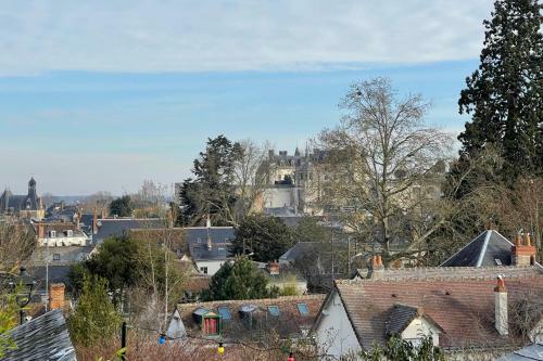 Maison Dans L'hyper Centre D'amboise Avec Terrasse
