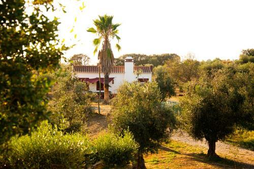 Hostal Monte Da Coelha - Alojamento Local