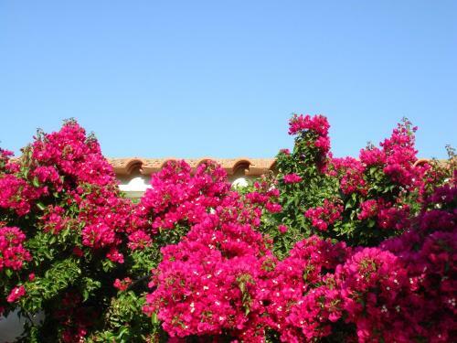 Hostal Monte Dos Arneiros