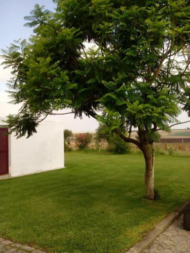 Hostal Monte Da Morena Agro-turismo