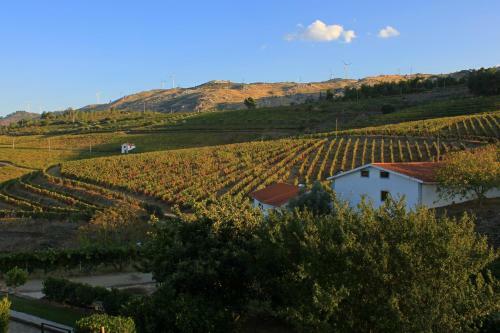 Villa Quinta Da Padrela Winery House