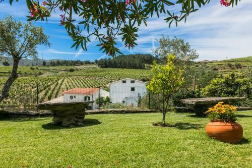 Villa Quinta Da Padrela Winery House