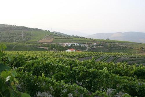 Villa Quinta Da Padrela Winery House