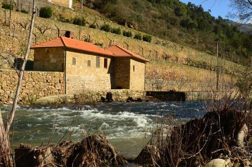 Quinta De Reciao