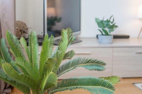 Le Grand Large Private Apartment