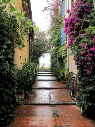 Apartamento Le Safranier Villa Emy