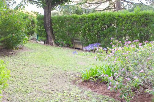 Apartamento Esterel Furnished Flat