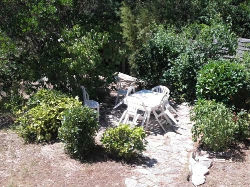 Maison Arcachon, 3 Pi�ces, 5 Personnes - Fr-1-319-383