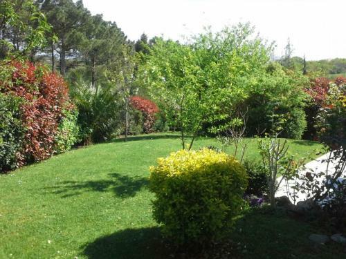 G�te Arcangues, 2 Pi�ces, 3 Personnes - Fr-1-384-358