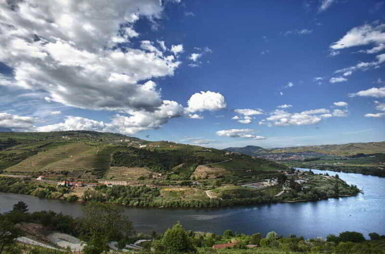 Delfim Douro Hotel