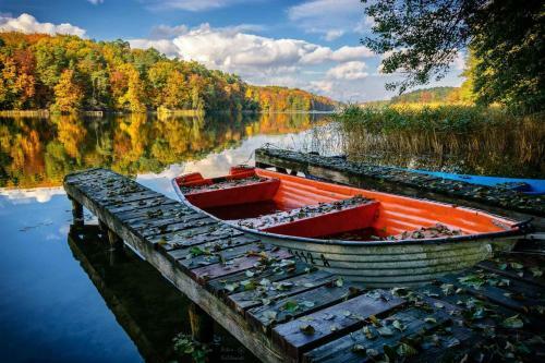 Hotel Zamek Joannit�w
