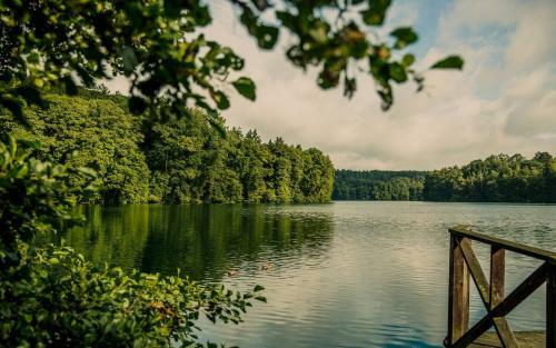 Hotel Zamek Joannit�w