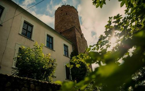 Hotel Zamek Joannit�w