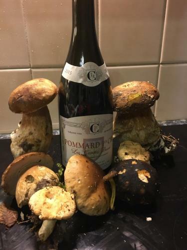 Apartamento Wine O'clock