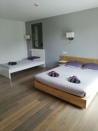 Hotel Auberge Des Isards