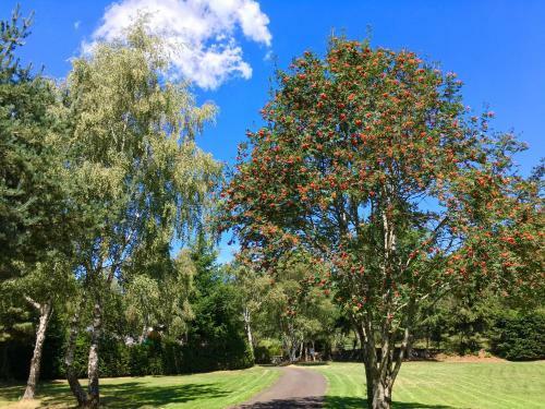 Hotel Domaine Les 2 Mondes