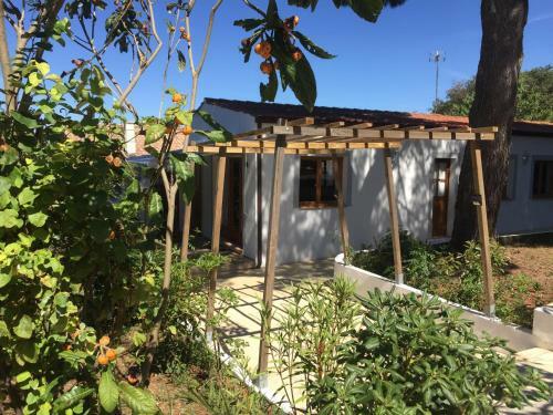 Bed & Breakfast R�v'de Thau