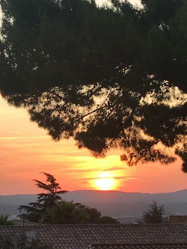 Bed & Breakfast R�v'de Thau