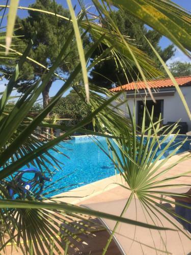 Bed & Breakfast R�v'de Thau
