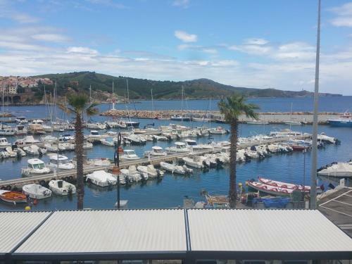 Apartamento R�sidence La Grande Voile