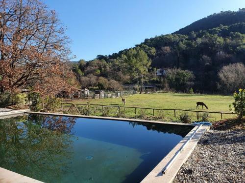 Classy Villa In Bargemon With Private Swimming Pool