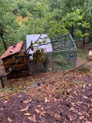 Bed & Breakfast Les Ecrins de Belvedere