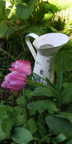 La Bulle