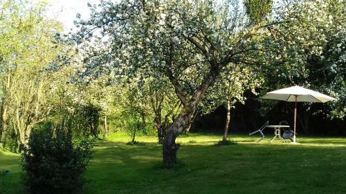 Bed & Breakfast Domaine Pastel