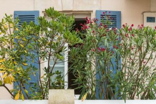 Apartamento Guestready - Charming Studio In Central Biarritz