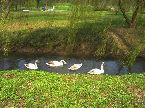 Hotel Przepi�reczka