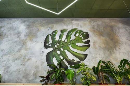Cynamon Hostel