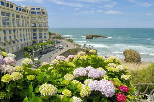 Apartamento City Garden