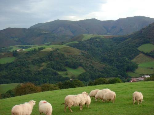 G�te Bidarray, 4 Pi�ces, 6 Personnes - Fr-1-384-629