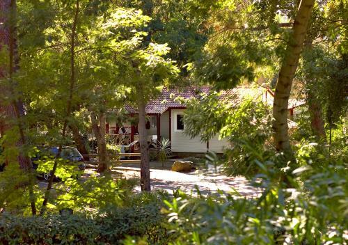 Camping San Damiano