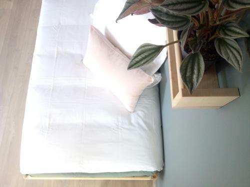 Hostal Maison Lavillete