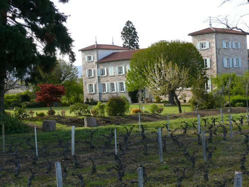 Ch�teau De Grandmont G�te