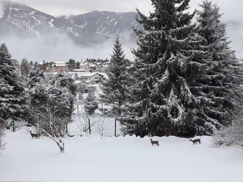 Les Flocons De Neige