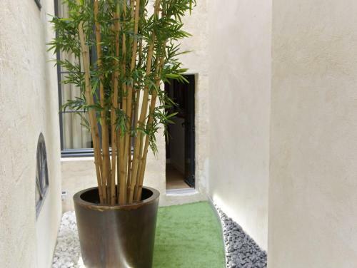 Apartamentos Culinaire