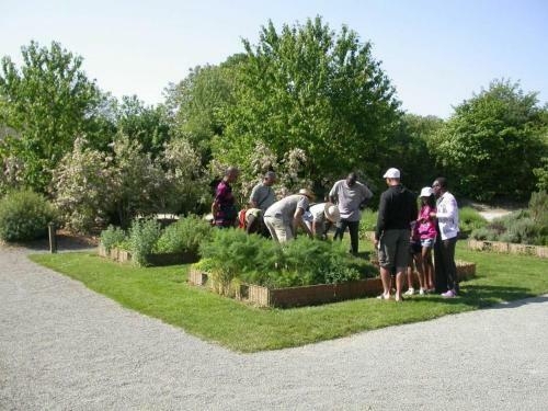 Chalet Bou�re, 3 Pi�ces, 5 Personnes - Fr-1-600-21