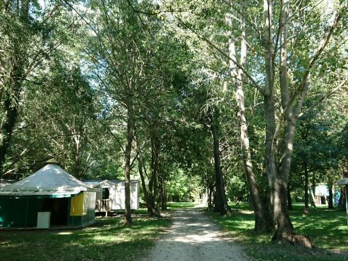 Camping En Ardeche Le Lion